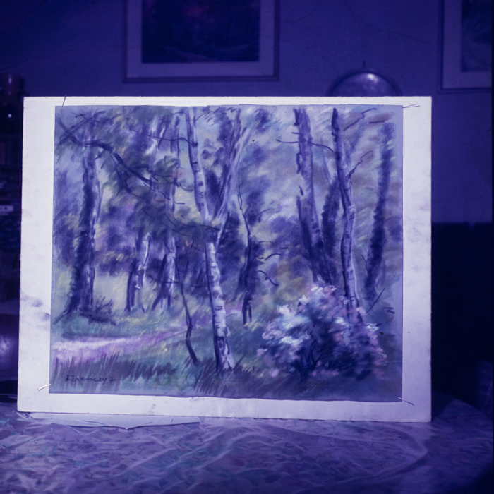 minerva_dn_kepzomuveszet_nok_nokrol_008