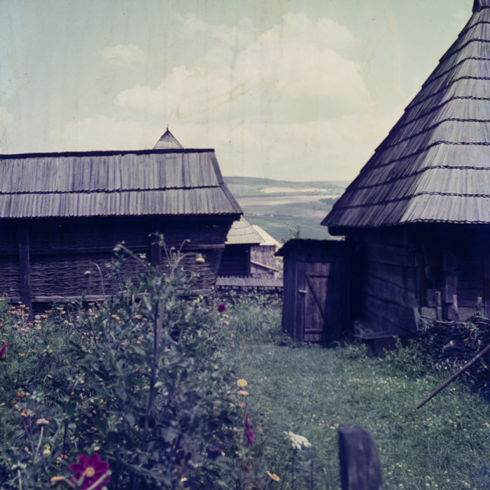 minerva_dn_keramia_002