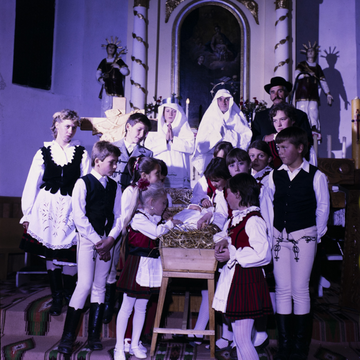 minerva_dn_kimaradtak_csicso_001