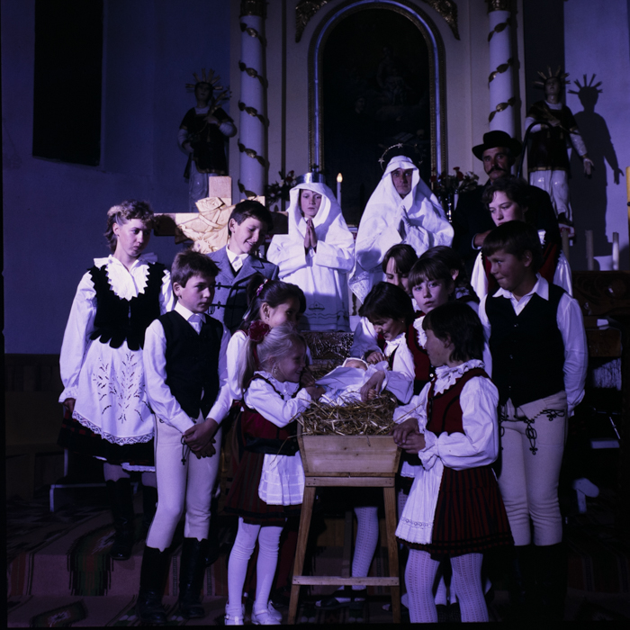 minerva_dn_kimaradtak_csicso_002