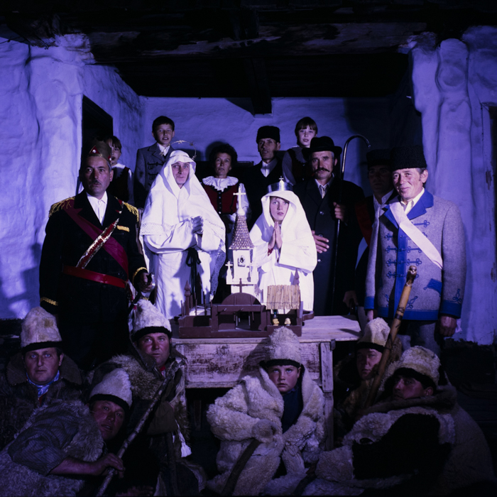 minerva_dn_kimaradtak_csicso_004