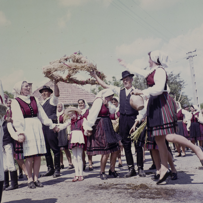 minerva_dn_kolozs_megye_aratasunnep_004