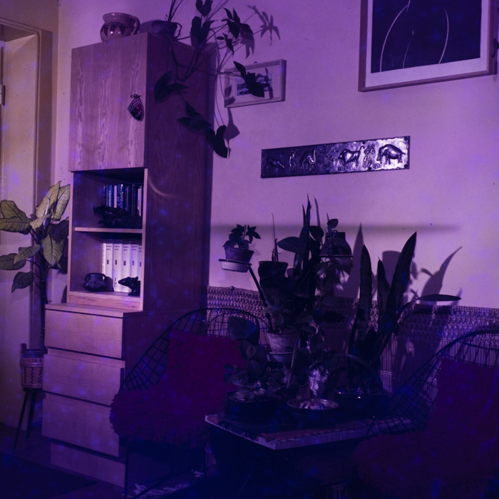 minerva_dn_lakasberenzezes003