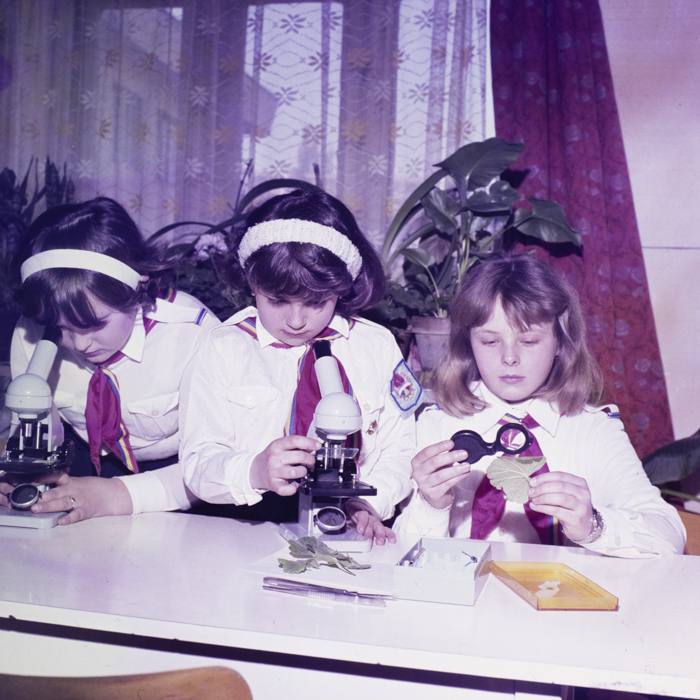 minerva_dn_lakasberenzezes009