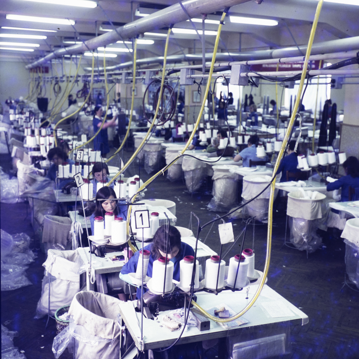 minerva_dn_margitta_001