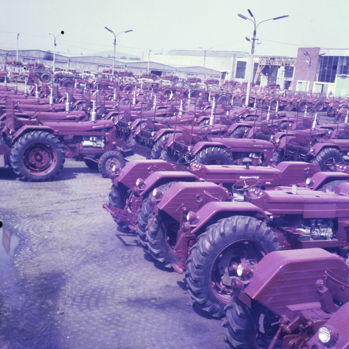 minerva_dn_megvalogulasok_001