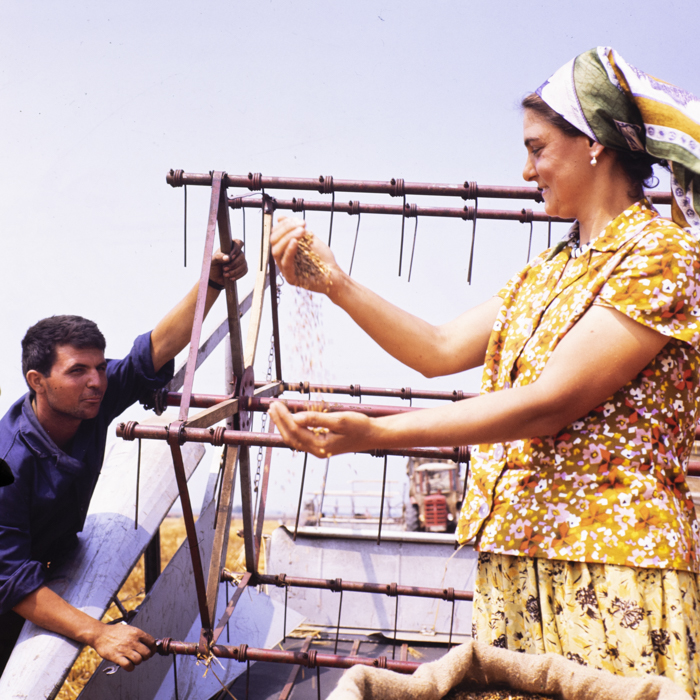 minerva_dn_mezogazdasag_001