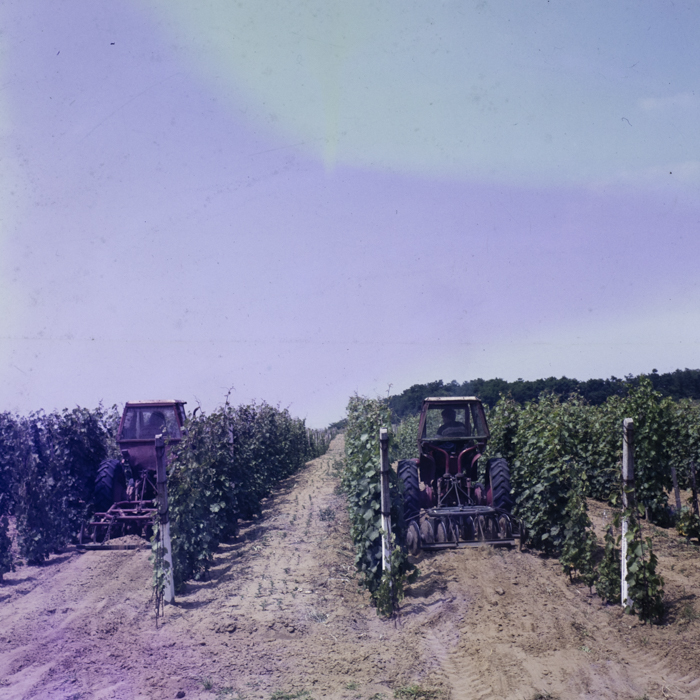 minerva_dn_mezogazdasag_006