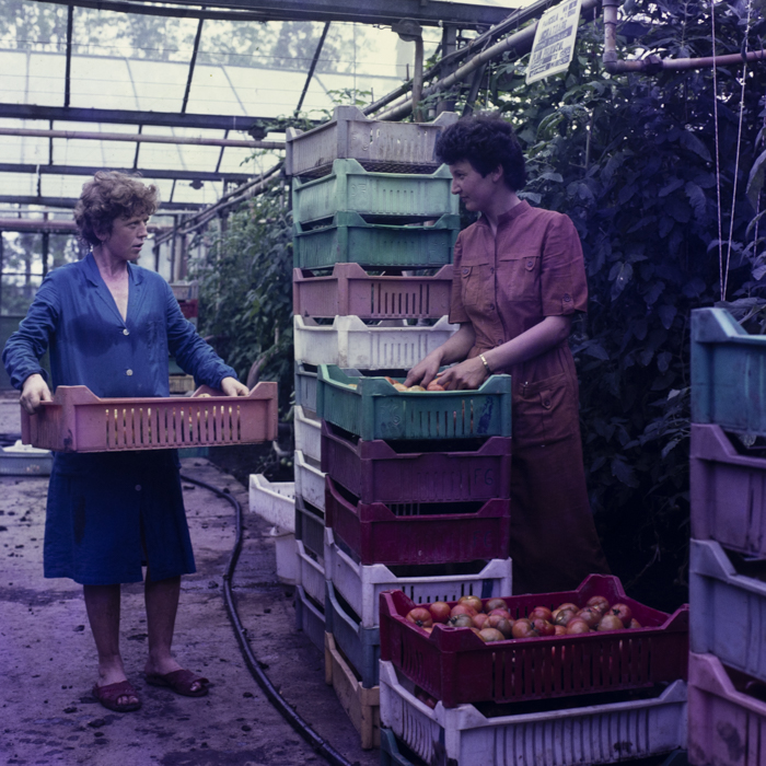 minerva_dn_mezogazdasag_009