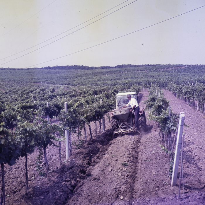 minerva_dn_mezogazdasag_012