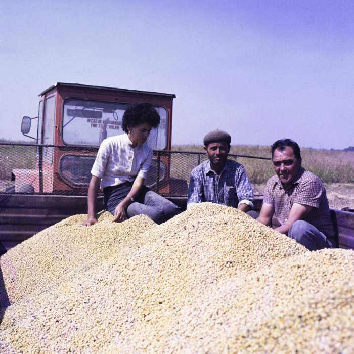 minerva_dn_mezogazdasag_016