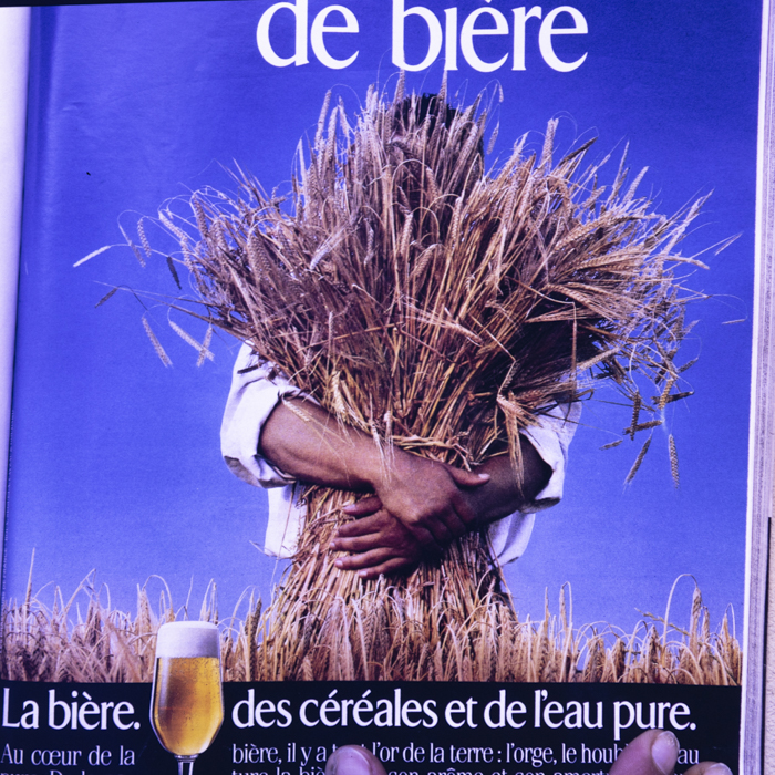 minerva_dn_mezogazdasag_019