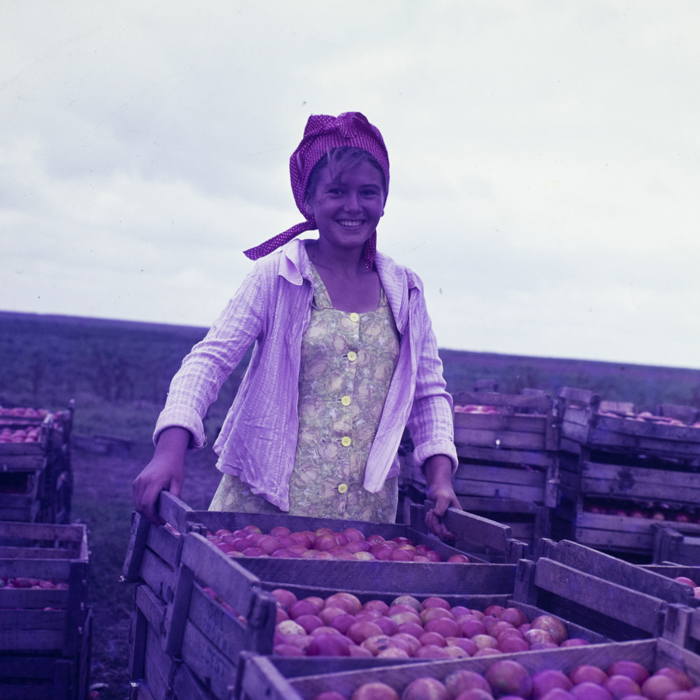 minerva_dn_mezogazdasag_020