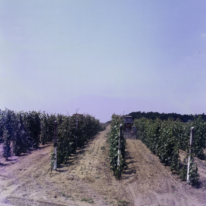 minerva_dn_mezogazdasag_2_0001