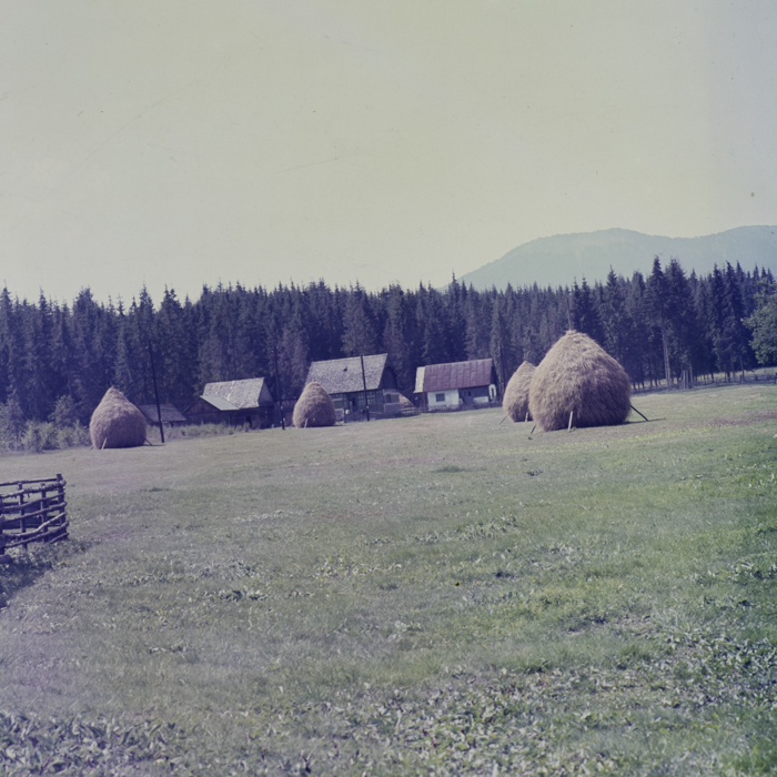 minerva_dn_mezogazdasag_2_0002