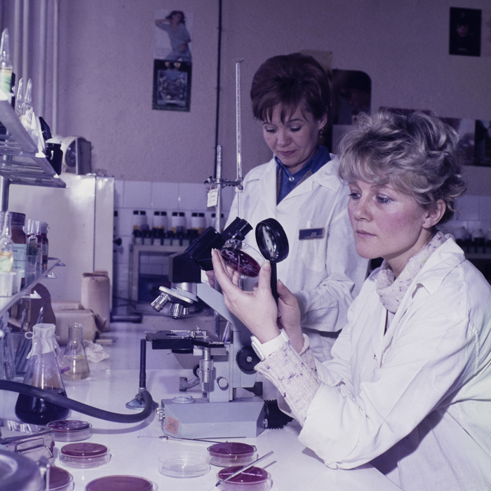 minerva_dn_reklam_konfekcio_016