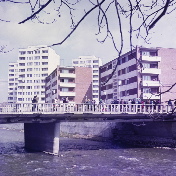 minerva_dn_sarmasag_002