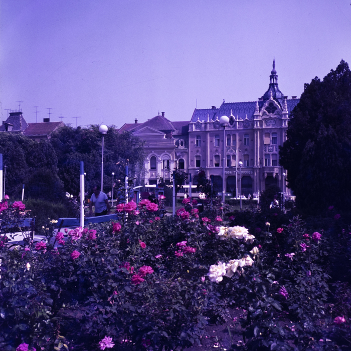 minerva_dn_szatmar_regi_es_uj_001