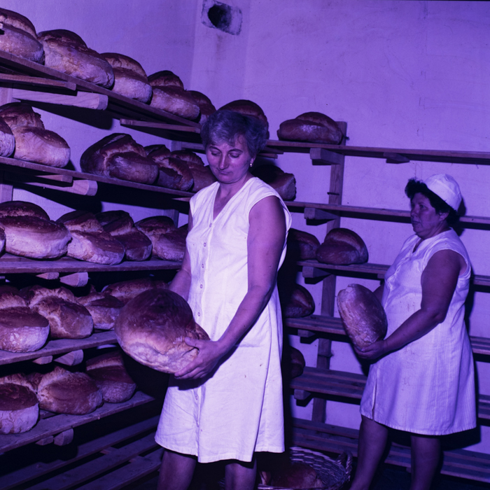 minerva_dn_szimbolikus_001