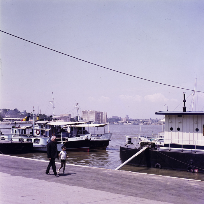 minerva_dn_tulcea_002