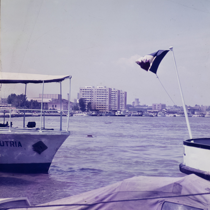 minerva_dn_tulcea_003