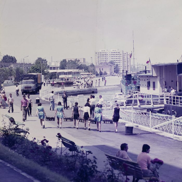 minerva_dn_tulcea_004