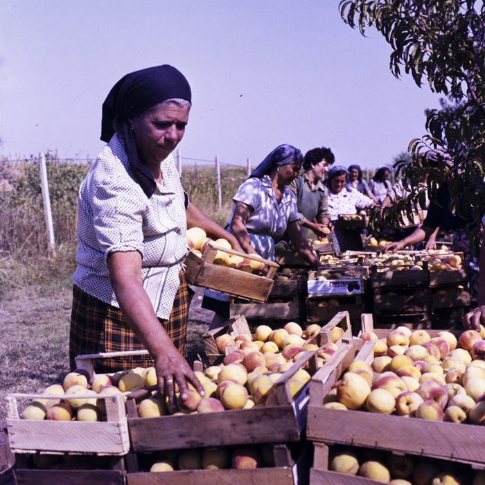 minerva_dn_varosok_027