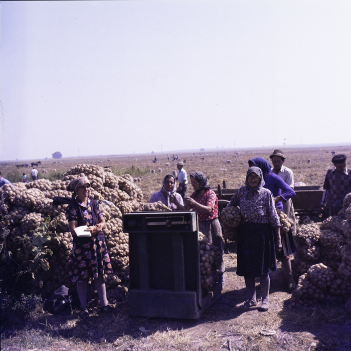 minerva_dn_varosok_028