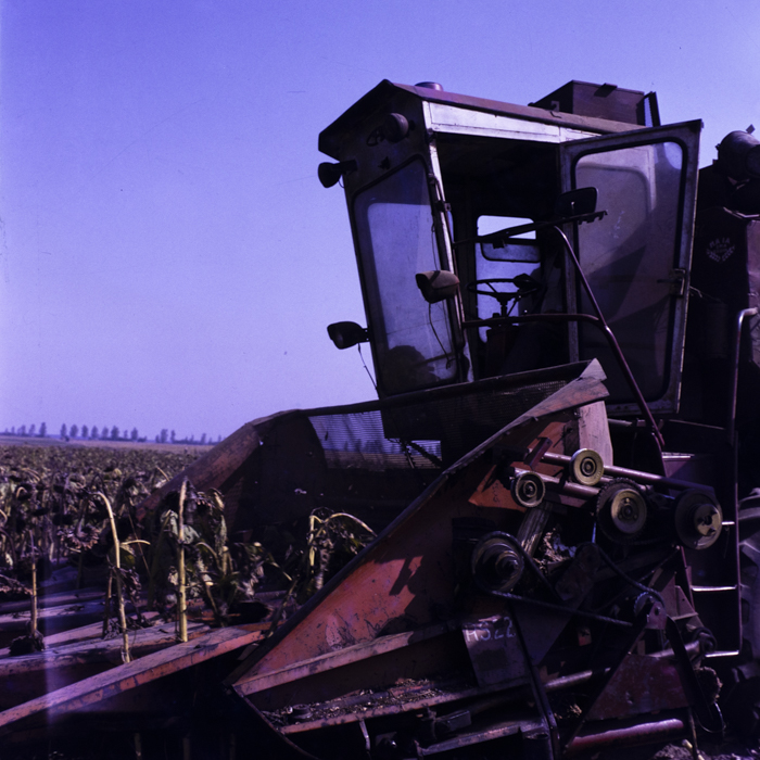 minerva_dn_varosok_029