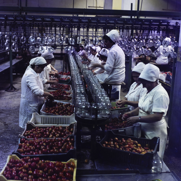 minerva_dn_varosok_034