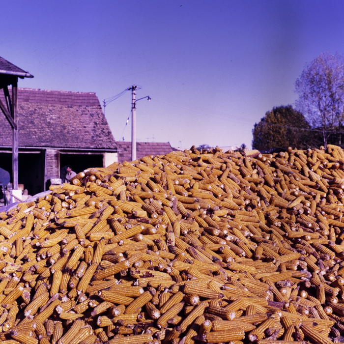 minerva_dn_varosok_2_025