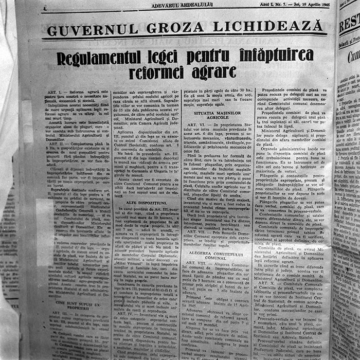 minerva_reproduceri_c1_c1r1_002