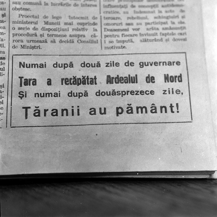 minerva_reproduceri_c1_c1r1_004