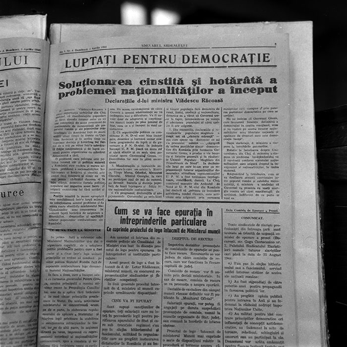 minerva_reproduceri_c1_c1r1_005