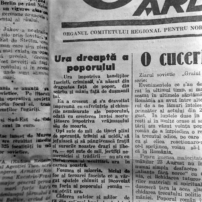 minerva_reproduceri_c1_c1r1_010