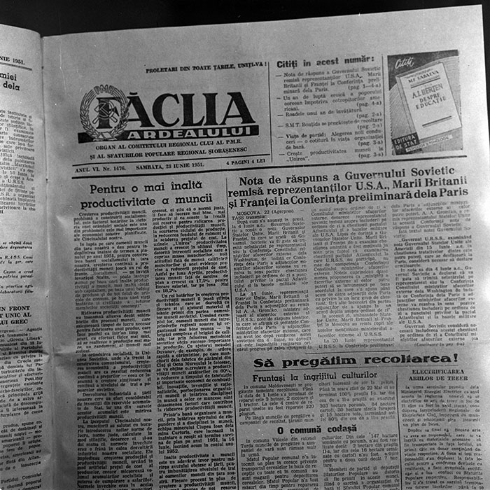 minerva_reproduceri_c1_c1r1_021