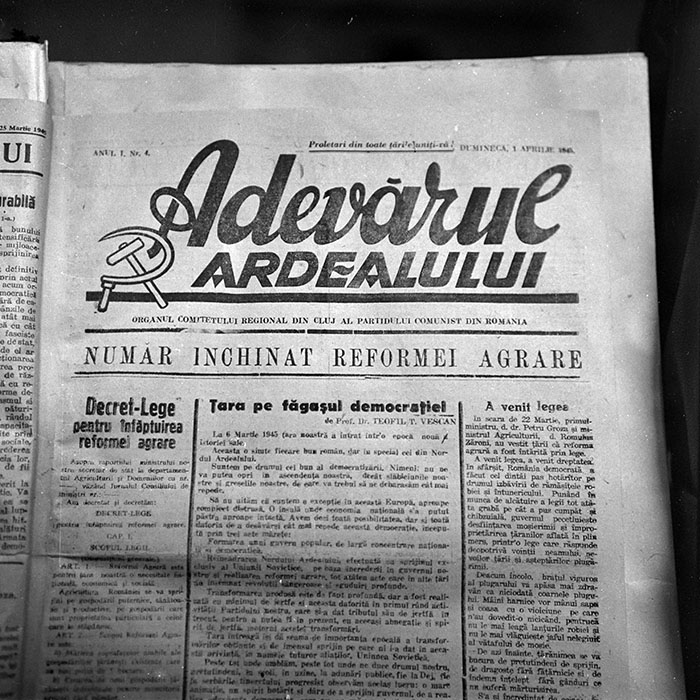 minerva_reproduceri_c1_c1r1_025