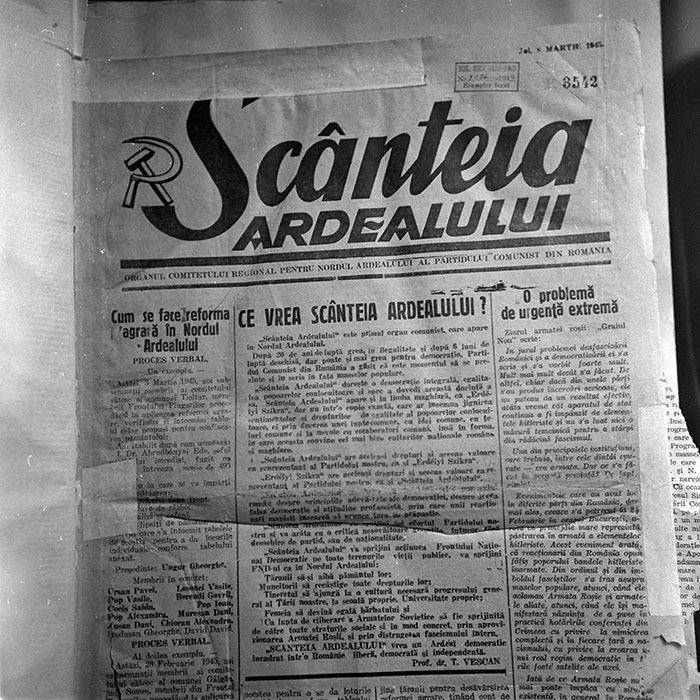 minerva_reproduceri_c1_c1r1_028