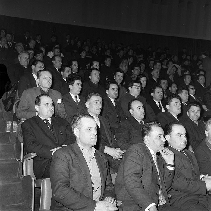 minerva_reproduceri_c1_c1r1_038