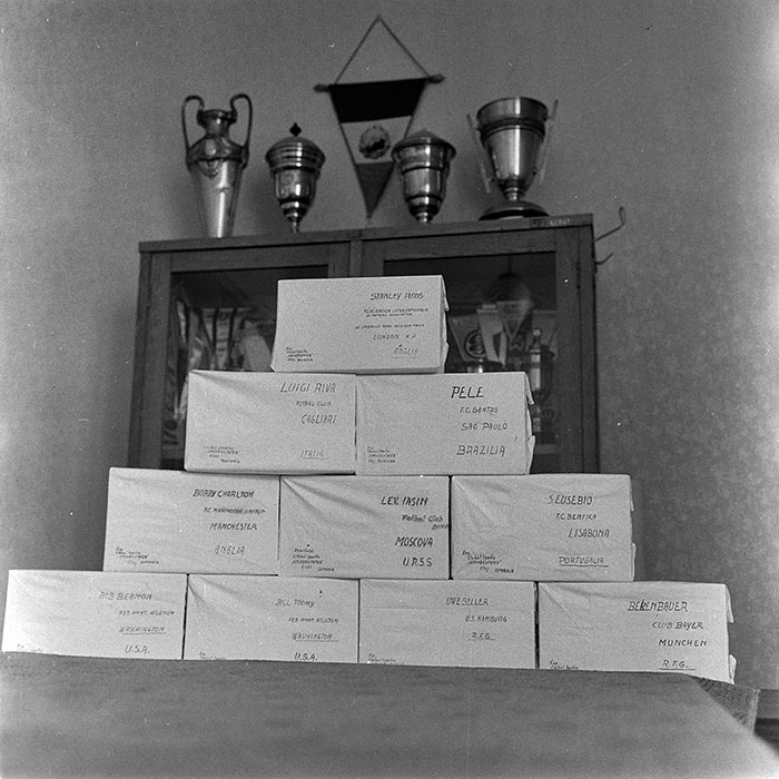 minerva_reproduceri_c1_c1r1_044