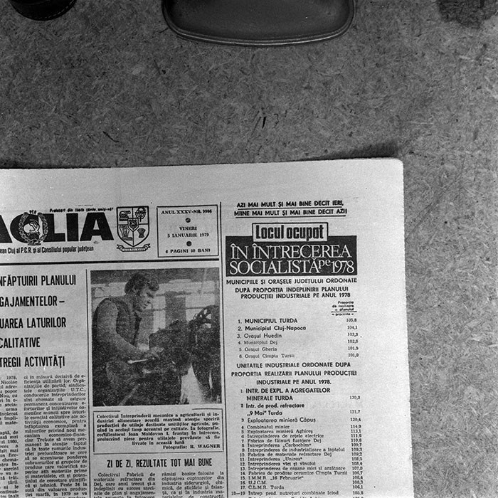 minerva_reproduceri_c1_c1r2_001