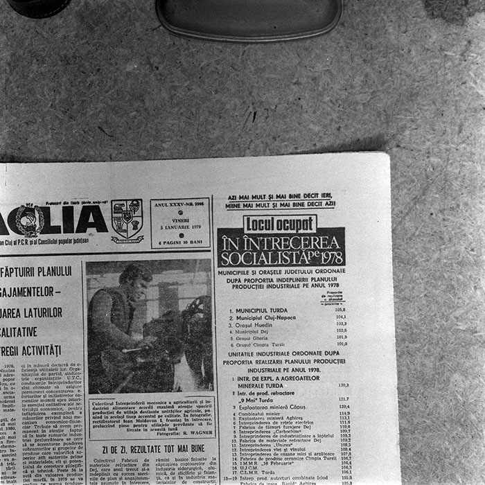 minerva_reproduceri_c1_c1r2_002