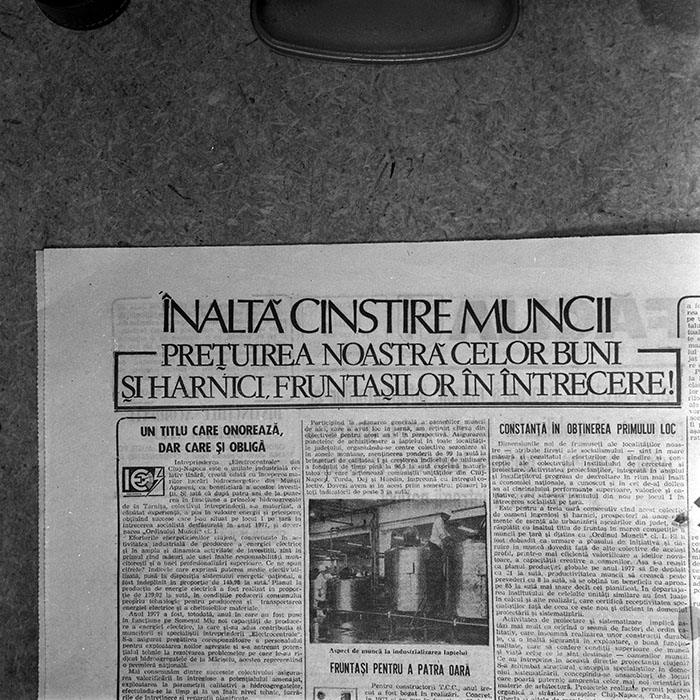 minerva_reproduceri_c1_c1r2_011