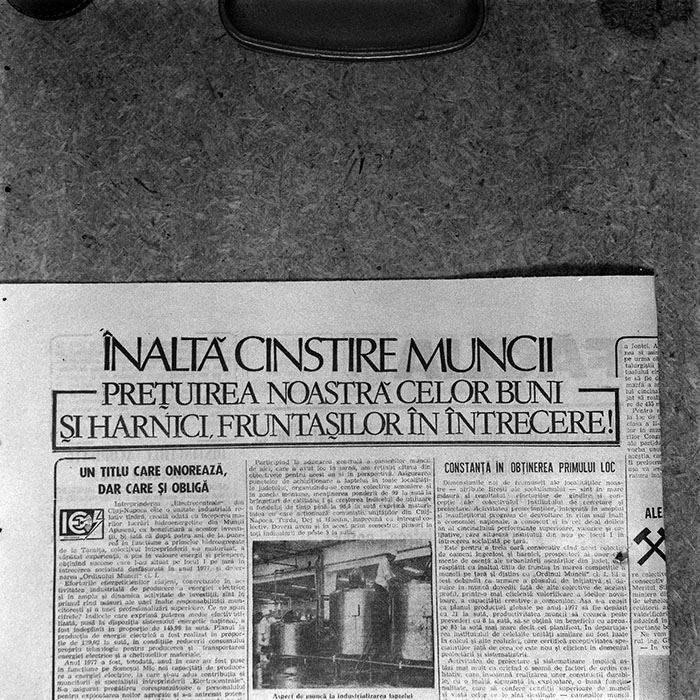 minerva_reproduceri_c1_c1r2_013