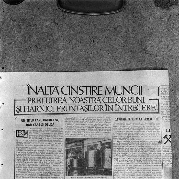 minerva_reproduceri_c1_c1r2_014