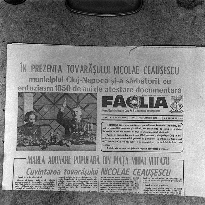 minerva_reproduceri_c1_c1r2_015