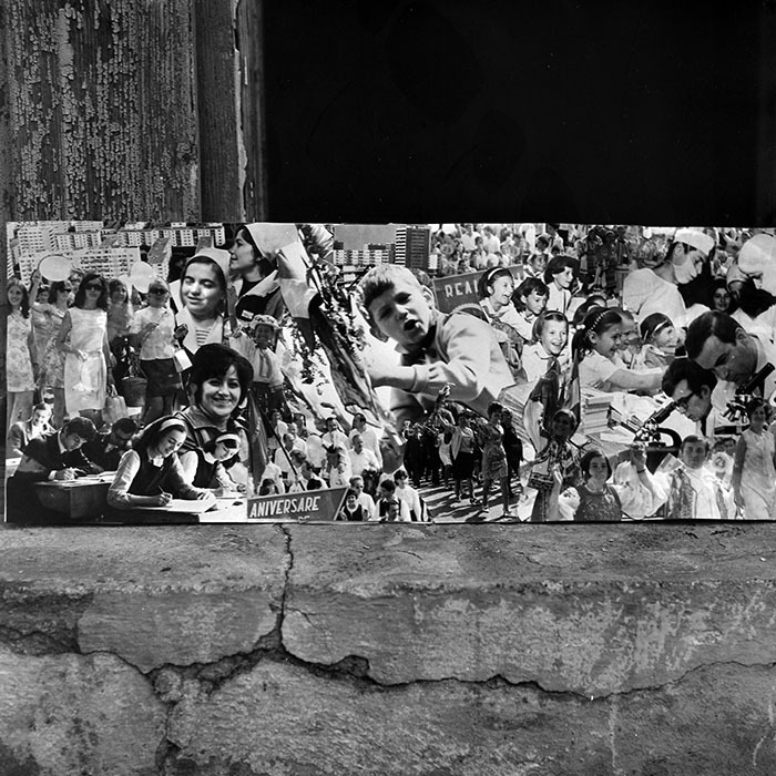 minerva_reproduceri_c1_c1r3_019