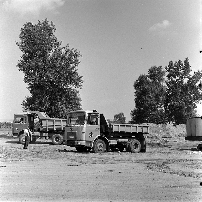 minerva_reproduceri_c1_c1r5_008