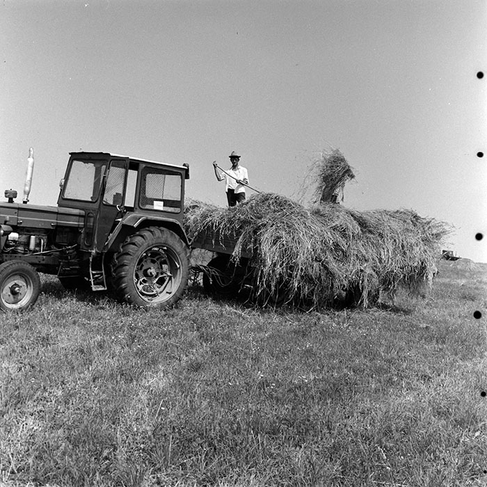 minerva_reproduceri_c1_c1r5_012