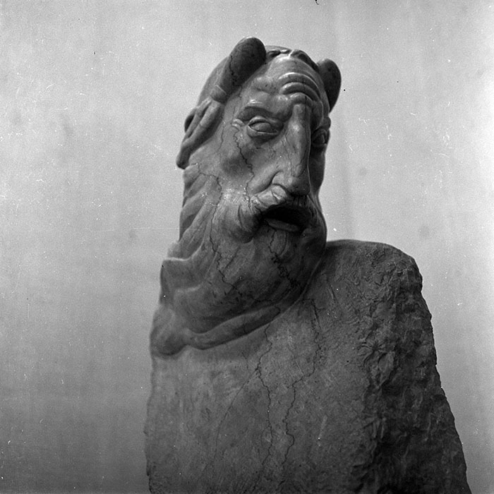 minerva_reproduceri_c1_c2r1_002